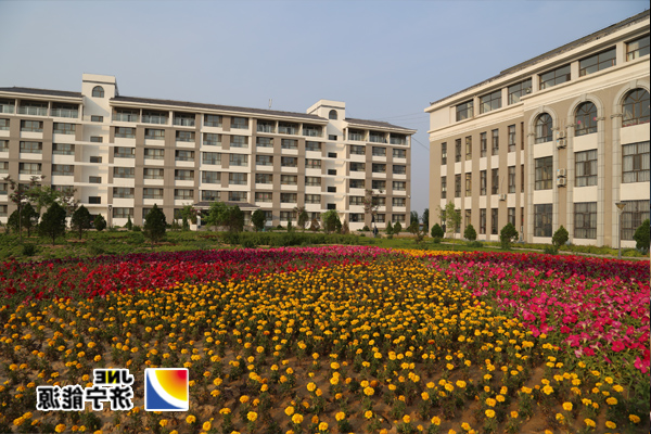 朱家峁煤矿开展绿化活动扮靓矿区