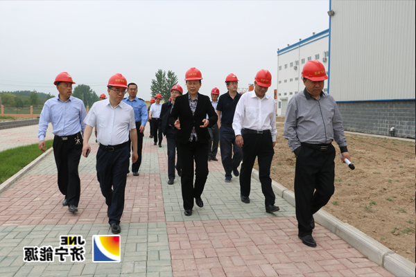 中国铁路总公司运输局副局长郭玉华到物流公司调研