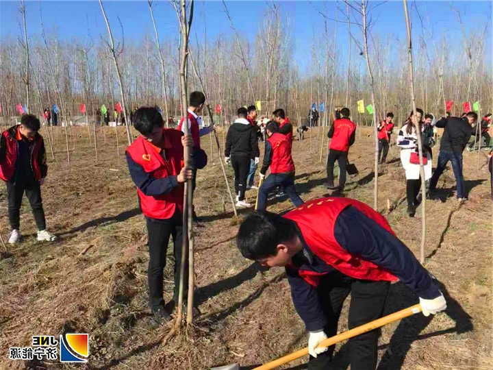 2019年3月12日，安居煤矿团委开展“青春绿色行·共创文明城”义务植树活动（陈继德摄）2.jpg