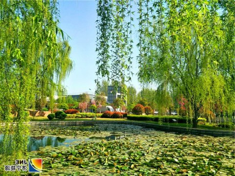 【特别关注】阳城煤电打造“儒风家韵  美丽阳城”家文化