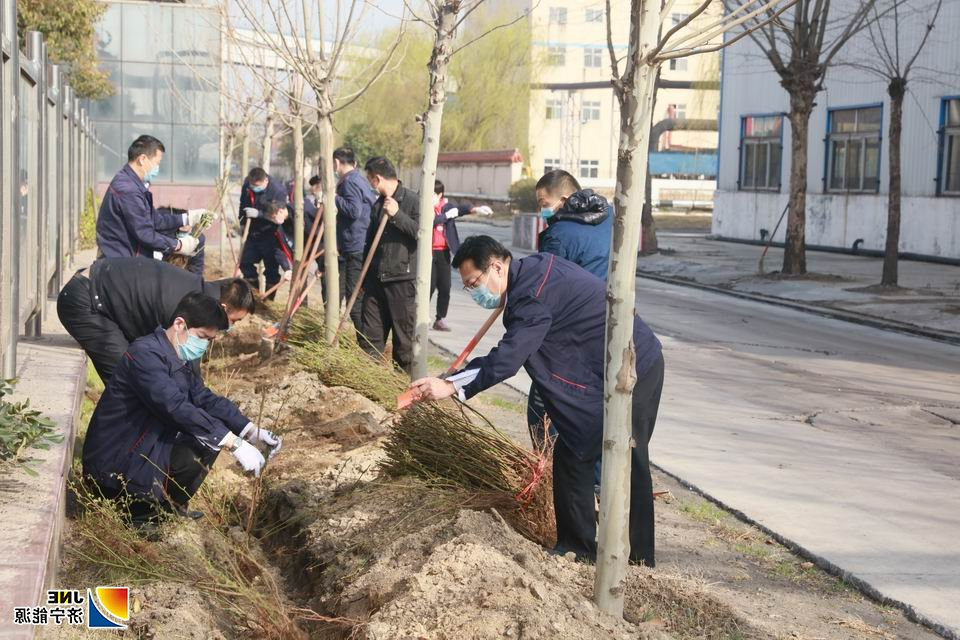2020年3月12日，战疫情 添新绿 阳城煤电开展植树活动.jpg