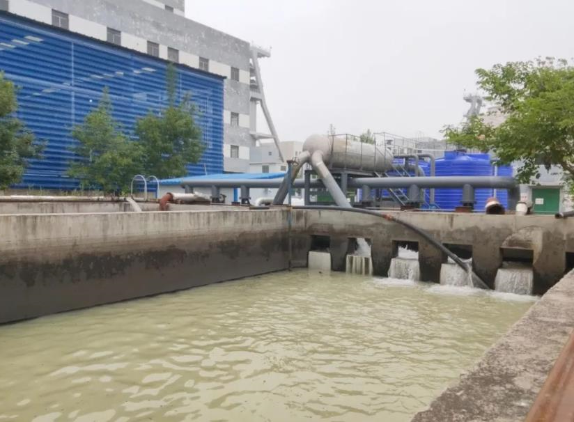 1625814715669318.jpg 1625814715669318.jpg