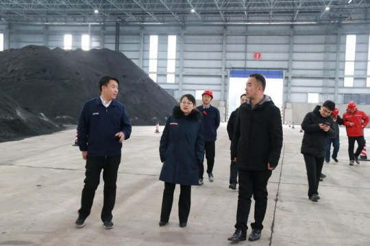 刘君妮到太平港调研指导工作