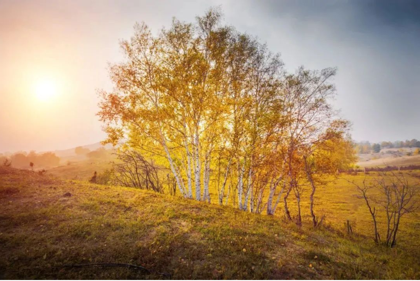 1664153055748054.png 微信截图_20220926084319.png