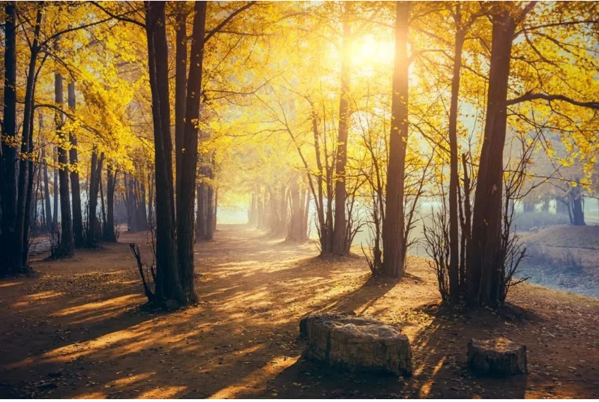 1664153075863948.png 微信截图_20220926084329.png