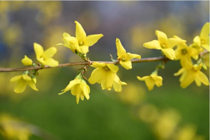 1681180394610617.jpg 微信截图_20230411103146.jpg