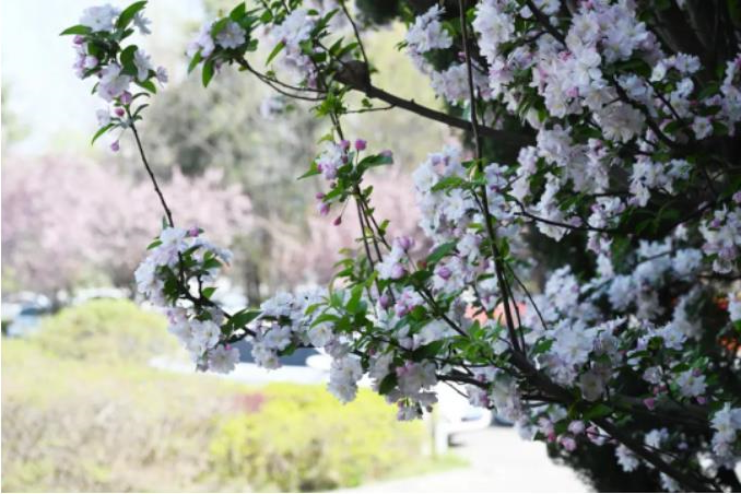 1681180409393602.jpg 微信截图_20230411103210.jpg