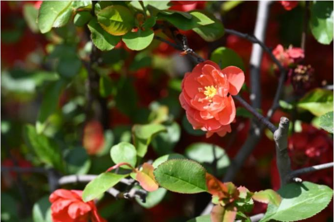 1681180417869015.jpg 微信截图_20230411103221.jpg