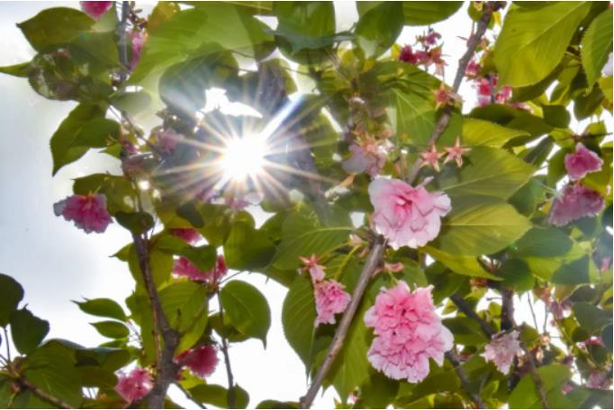 1681786795809398.jpg 微信截图_20230418105840.jpg