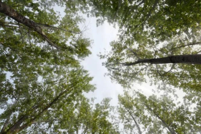 1681786802595024.jpg 微信截图_20230418105850.jpg