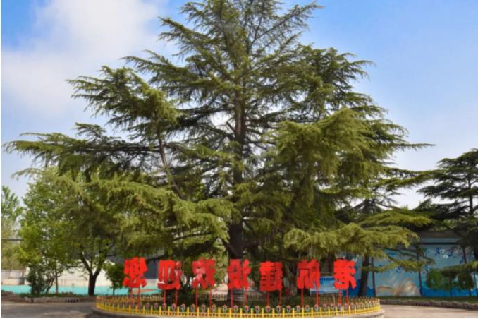 1681786817864358.jpg 微信截图_20230418105915.jpg