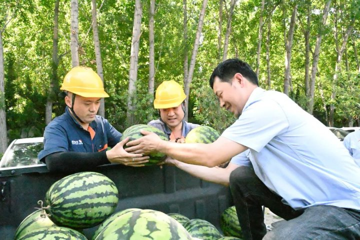 跃进港这些清凉“小事”很暖心