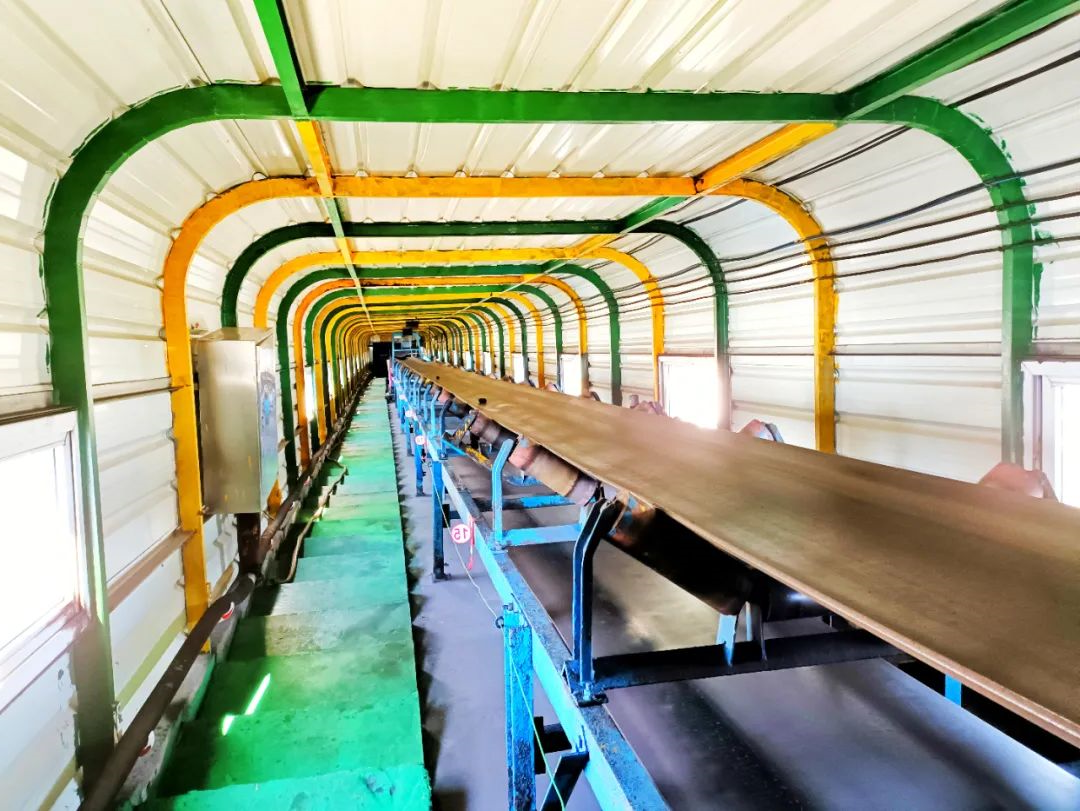 1695696202547579.jpg 640.jpg