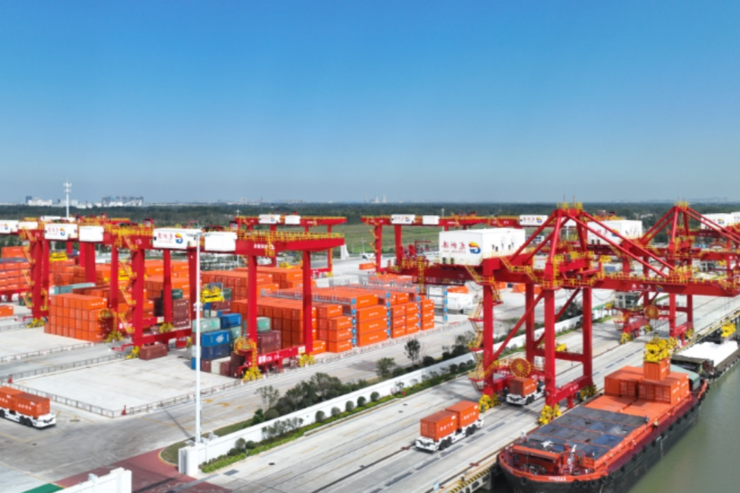 1706776028595516.jpg 640.jpg