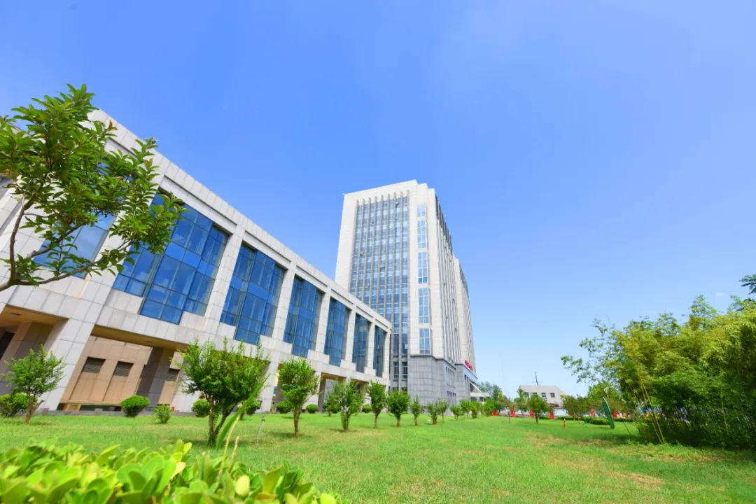 1737274843883098.jpg 0010.jpg