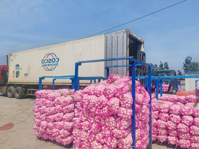 龙拱港开通冷链外贸业务铁路发运新通道