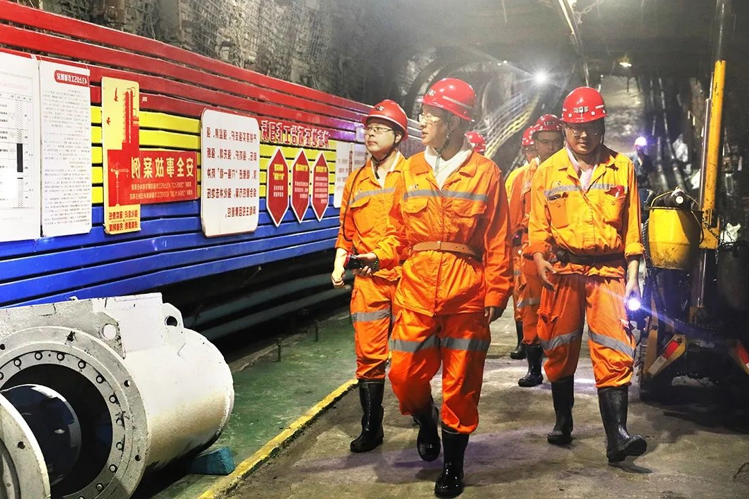 1756196015174106.jpg 05.jpg