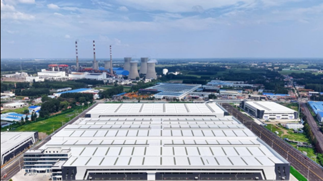 1763518268807319.jpg 01.jpg