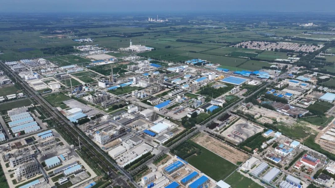 1768020999145017.jpg 03.jpg